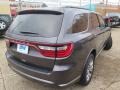 Bruiser Gray - Durango SXT AWD Photo No. 8