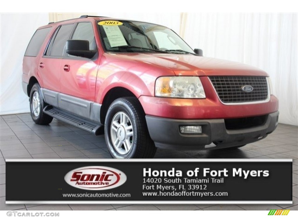 2003 Expedition XLT - Laser Red Tinted Metallic / Flint Grey photo #1