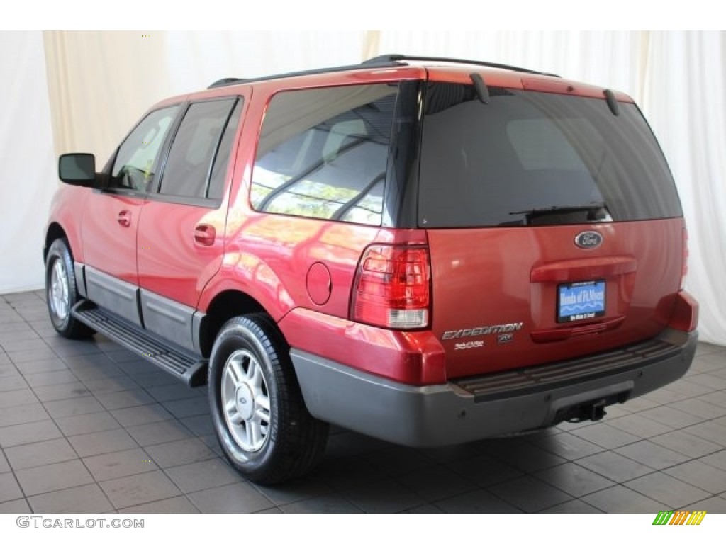 2003 Expedition XLT - Laser Red Tinted Metallic / Flint Grey photo #6