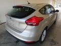 White Gold - Focus SE Hatch Photo No. 2