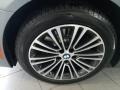 2018 Bluestone Metallic BMW 5 Series 530i xDrive Sedan  photo #3