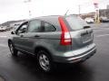 2011 Opal Sage Metallic Honda CR-V LX 4WD  photo #7