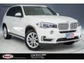Alpine White - X5 sDrive35i Photo No. 1