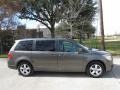 Meteor Gray Metallic - Routan SE Photo No. 6