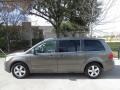 Meteor Gray Metallic - Routan SE Photo No. 11