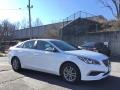 Quartz White Pearl - Sonata SE Photo No. 3