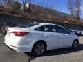Quartz White Pearl - Sonata SE Photo No. 4