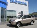 Mesa Beige Metallic - MDX  Photo No. 1