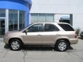 Mesa Beige Metallic - MDX  Photo No. 3