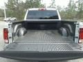 Bright Silver Metallic - 1500 Express Quad Cab Photo No. 19