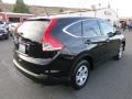 Crystal Black Pearl - CR-V LX Photo No. 7