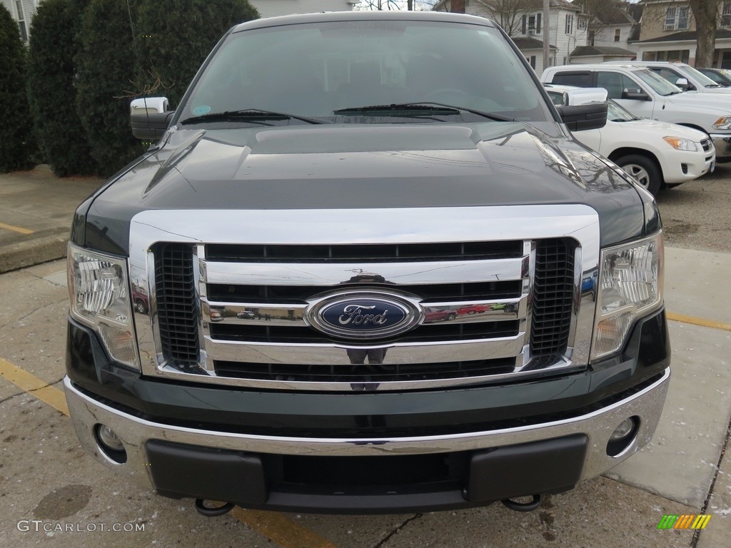 2014 F150 XLT SuperCrew 4x4 - Green Gem / Steel Grey photo #4