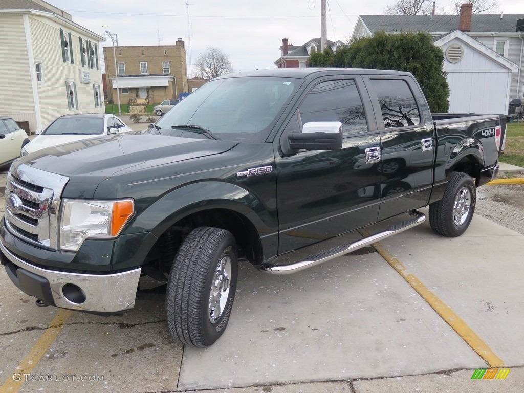 2014 F150 XLT SuperCrew 4x4 - Green Gem / Steel Grey photo #6