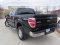 2014 Green Gem Ford F150 XLT SuperCrew 4x4  photo #8