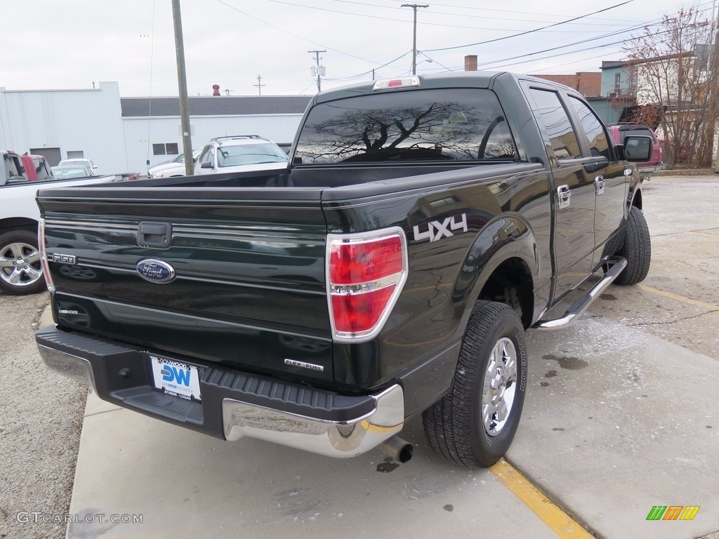 2014 F150 XLT SuperCrew 4x4 - Green Gem / Steel Grey photo #9