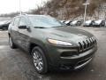 2018 Olive Green Pearl Jeep Cherokee Limited 4x4  photo #7