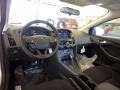 White Gold - Focus SEL Sedan Photo No. 8