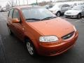 2007 Spicy Orange Chevrolet Aveo 5 LS Hatchback  photo #7