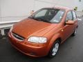 2007 Spicy Orange Chevrolet Aveo 5 LS Hatchback  photo #9