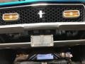 Grabber Blue - Mustang Mach 1 Coupe Photo No. 149