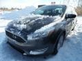 Magnetic - Focus SE Sedan Photo No. 1