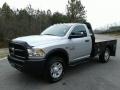 Bright Silver Metallic - 2500 Tradesman Regular Cab Chassis Photo No. 2