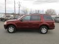 Dark Copper Metallic - Explorer XLT Photo No. 4