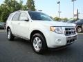 2009 White Suede Ford Escape Limited  photo #1