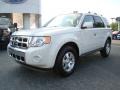 2009 White Suede Ford Escape Limited  photo #6
