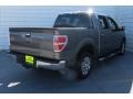 Sterling Grey Metallic - F150 XLT SuperCrew Photo No. 11