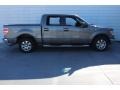 Sterling Grey Metallic - F150 XLT SuperCrew Photo No. 12