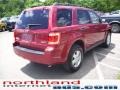 2009 Sangria Red Metallic Ford Escape XLT 4WD  photo #4