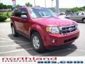 2009 Sangria Red Metallic Ford Escape XLT 4WD  photo #5