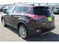 2018 Black Current Metallic Toyota RAV4 Limited  photo #6