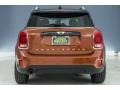 Chestnut - Countryman Cooper ALL4 Photo No. 3