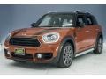 Chestnut - Countryman Cooper ALL4 Photo No. 28
