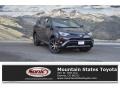 Black Current Metallic 2018 Toyota RAV4 SE AWD