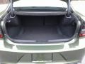 F8 Green - Charger R/T Scat Pack Photo No. 12