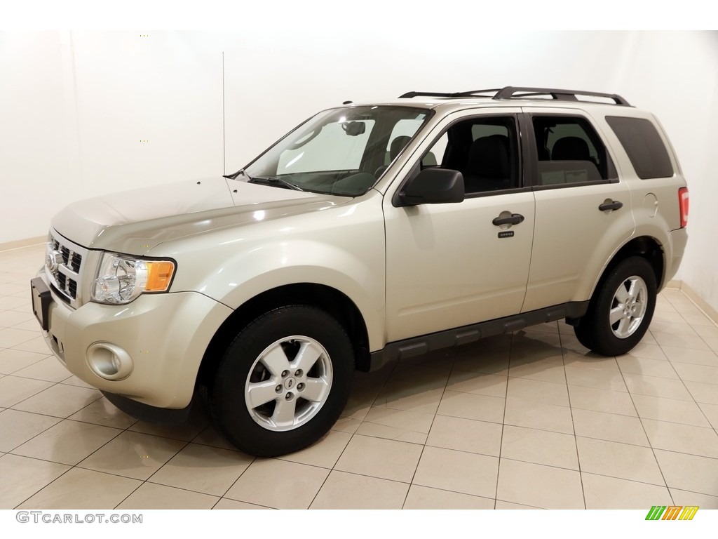 2011 Escape XLT - Gold Leaf Metallic / Charcoal Black photo #3
