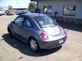 Platinum Grey - New Beetle 2.5 Coupe Photo No. 12