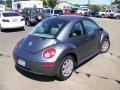 Platinum Grey - New Beetle 2.5 Coupe Photo No. 17
