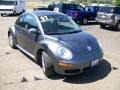 Platinum Grey - New Beetle 2.5 Coupe Photo No. 19