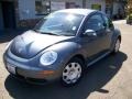 Platinum Grey - New Beetle 2.5 Coupe Photo No. 23