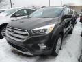 2018 Magnetic Ford Escape SEL 4WD  photo #1