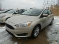 White Gold - Focus SE Sedan Photo No. 1