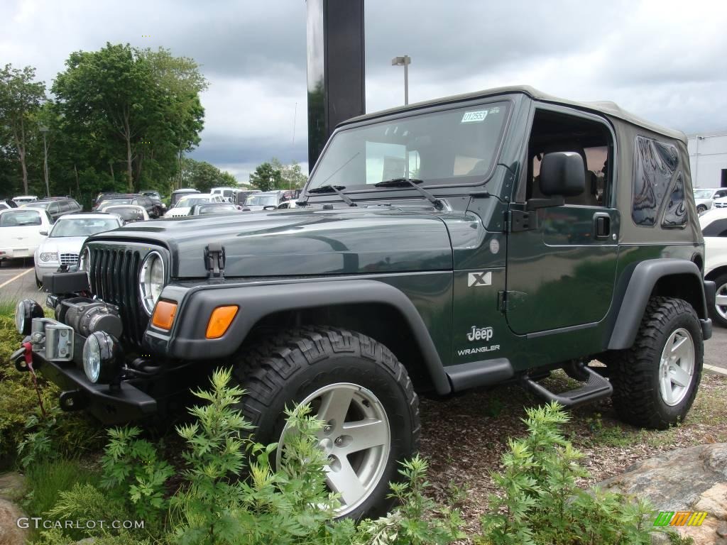 2004 Wrangler X 4x4 - Shale Green Metallic / Khaki photo #2