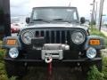 2004 Shale Green Metallic Jeep Wrangler X 4x4  photo #3