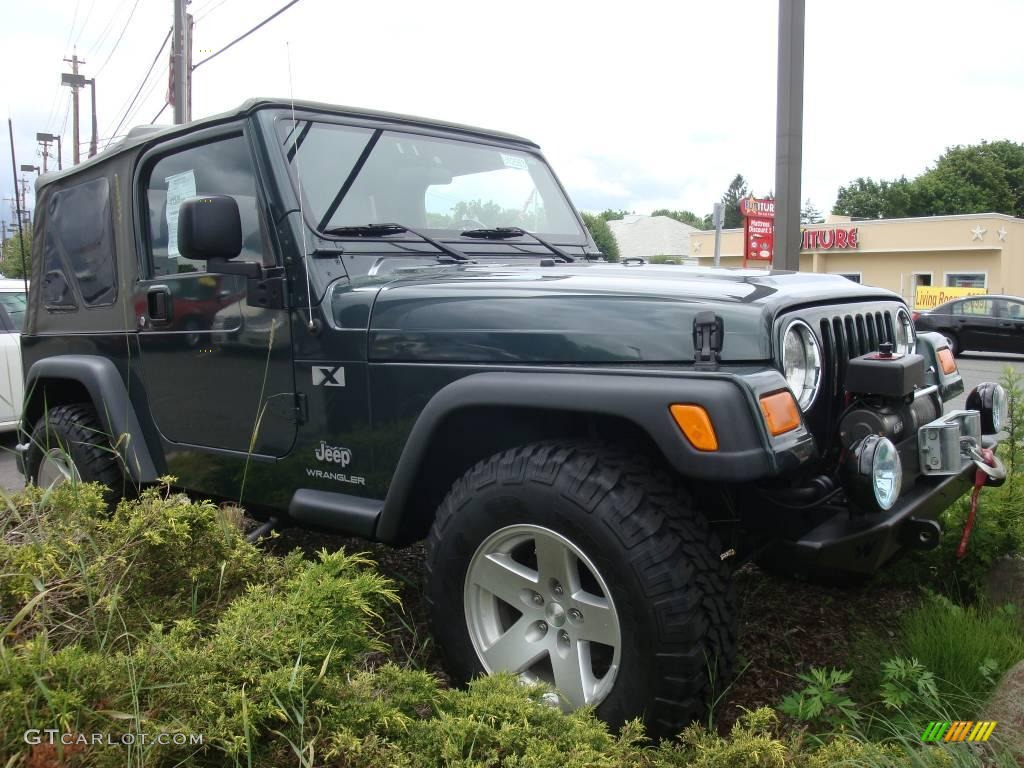 2004 Wrangler X 4x4 - Shale Green Metallic / Khaki photo #4