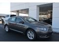 Magnetic 2018 Ford Taurus SEL