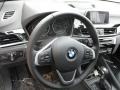 2018 BMW X1 Black Interior Steering Wheel Photo